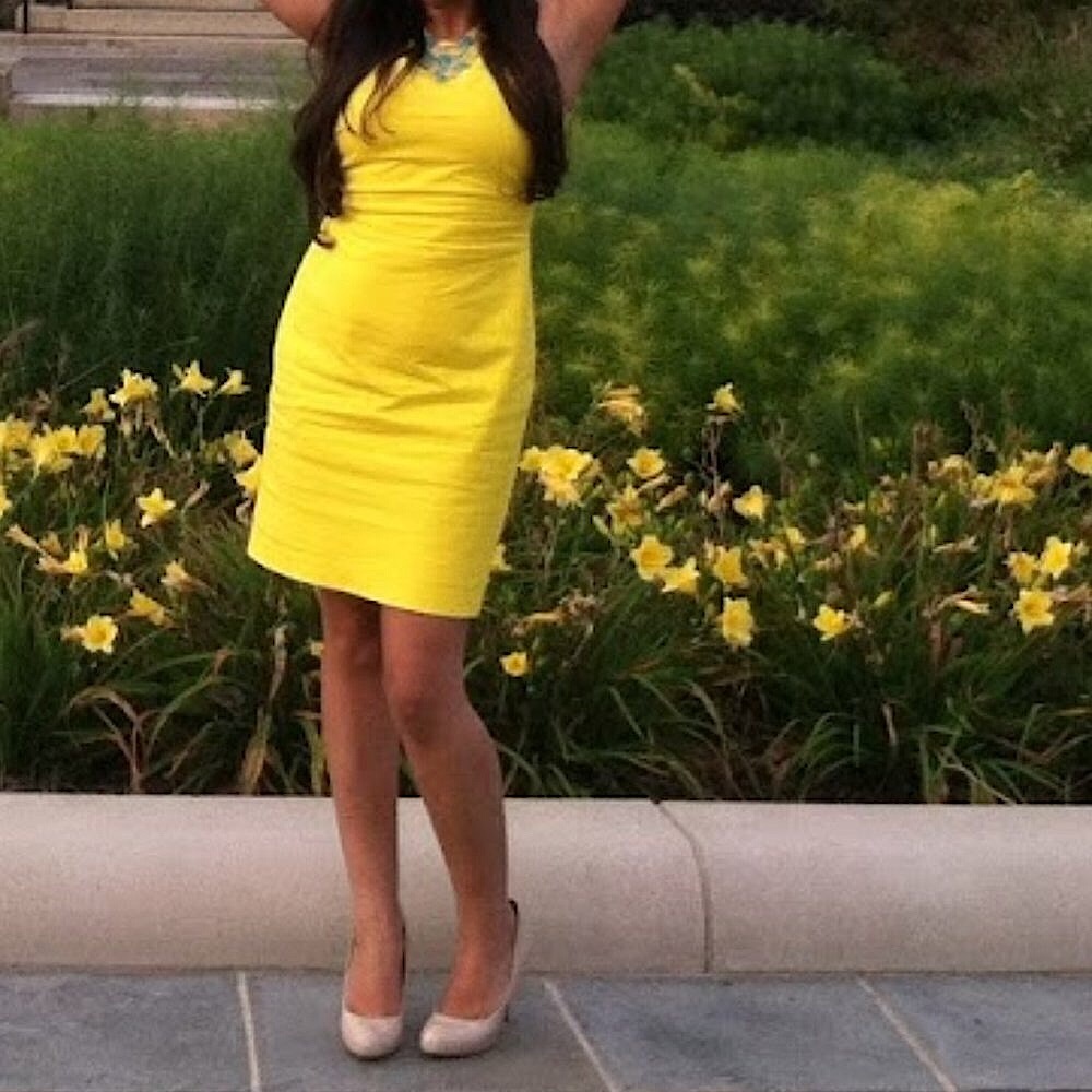 Zara Dress- super classy and chic